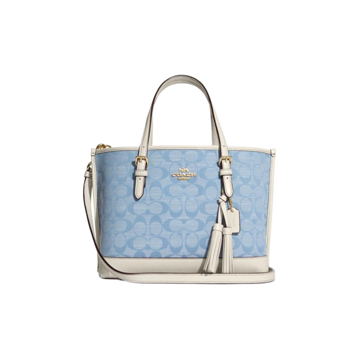 COACH 캔버스와 가죽 토트백, 쇼핑백, 핸드백, 크 - Tote Bag Leather Monogram 리뷰 및 가격